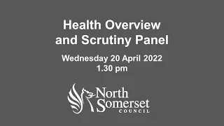 Health Overview and Scrutiny Panel, Wednesday 20 April, 1.30pm