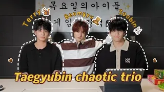 taegyubin are  cute and chaotic trio together ⸜(｡˃ ᵕ ˂ )⸝*ੈ✩