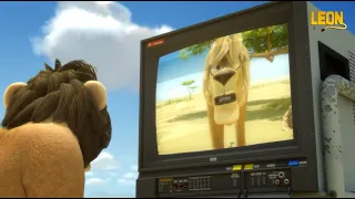 TV Screen | Leon the Lion