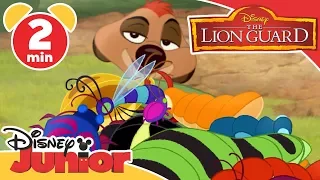 The Lion Guard | DJ On Safari: Grubs | Disney Junior UK