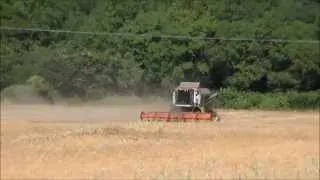 Combine harvesting peas.Part 1