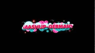 Top of the Pops 2011 (What the Fuck) - Mashup Germany