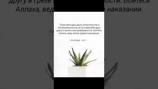 О те, которые уверовали! Не нарушайте святость обрядовых знамений Аллаха и запретного месяца.