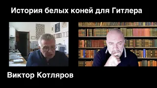 История белых коней для Гитлера