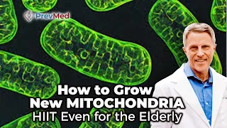 How to Grow New Mitochondria - HIIT Even for the Elderly