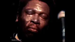 BB King with Sonny Freeman & The Unusuals - Ain't Nobody's Business (instr) live [Colourised] 1969