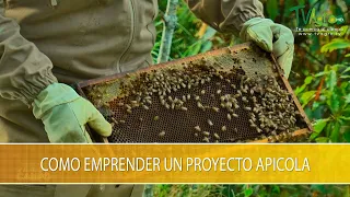 Como Emprender un Proyecto Apicola - TvAgro por Juan Gonzalo Angel Restrepo