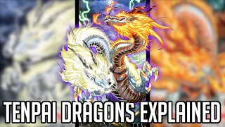 Want To Casually Do 30,000 Damage? [Yu-Gi-Oh! Archetypes Explained] [Tenpai Dragon]