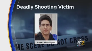 17-Year-Old Emanuel Gallegos Killed In Old Irving Park Shooting