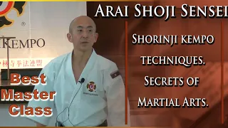 Shorinji Kempo techniques. Secrets of Martial Arts. Master Class, Sensei Arai. 少林寺拳法 技. 武道少林寺拳法