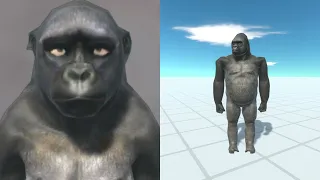 POOJECTILE GORILLA BECOMING CANNY WITH YOUR FAVORITE PRIMATE -   ARBS