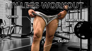 My LEG Workout: Quads, Hamstring & Calves (2022) | Push/Pull/Legs series