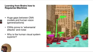 How we are solving the Blackbox problem in Artificial Intelligence with Neuroscience