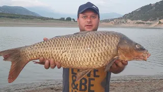 Fishing. The 78 cm Trophe Carp Hunt Was A Game We Fished A Lot Of Fish.