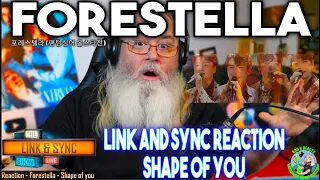 Forestella Link and Sync Reaction - Shape of you - 포레스텔라 (팬텀싱어 올스타전)