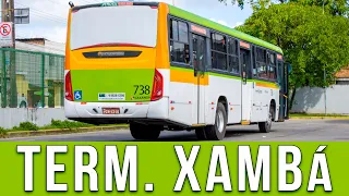 Terminal Xambá (Olinda/PE) - Movimentação de Ônibus #785