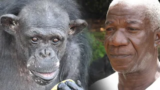 He saved these chimpanzees' lives