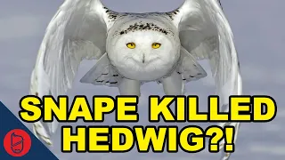 Harry Potter Theory: Snape Killed Hedwig?!