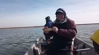 laguna cuero de zorro.pesca con amigos .1/7/2023