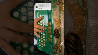 Danza Kuduro - Don Omar #accordion #parati #tiktok #acordeon #viral