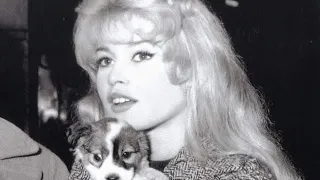 brigitte bardot cc ♡