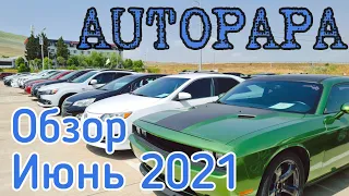 Автопапа. Обзор цен Июнь 2021. McCar. Autopapa.