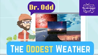 The Five Oddest Weather Phenomenon | Dr. Odd