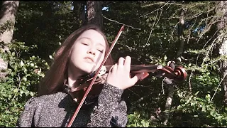 Zeit heilt keine Wunden - Nino de Angelo - Violin Cover by Emily Diebold