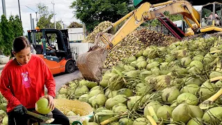 100,000 PCS Per Day! Amazing Coconut Cutting Skills - Coconut Factory in Thailand