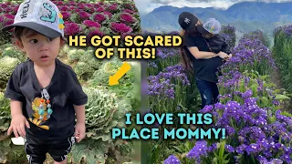 MILAD'S First Time in BAGUIO! 🇵🇭 (Reaction to GIANT Cabbage Flower) 😲