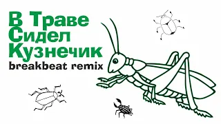 LOW BO — В Траве Сидел Кузнечик (breakbeat mix)