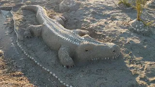 Коса Бирючий остров. Дикий берег.