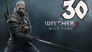 The Witcher 3: Wild Hunt - Gameplay Walkthrough Part 30: Journey to Oxenfurt