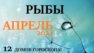 РЫБЫ  ♓  АПРЕЛЬ 2024 🚀 Прогноз на месяц таро расклад 👍Все знаки зодиака! 12 домов гороскопа!