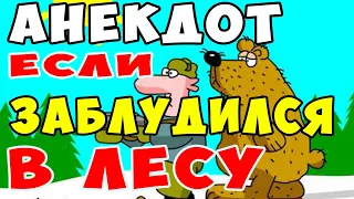 АНЕКДОТ про Мужика и Медведя в Лесу | Самые смешные свежие анекдоты