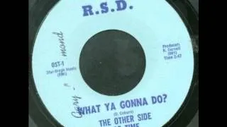 The Other Side of Time - What Ya Gonna Do? ('60s GARAGE PSYCH)