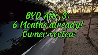 BYD Atto 3 at 6 months! Owner Review, Episode 56