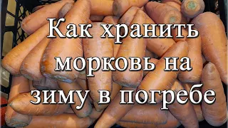 Как хранить морковь на зиму в погребе? Хранение морковки до следующего урожая!