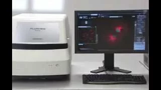 FV10i Confocal Laser Scanning Microscope