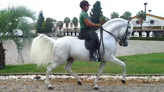Jerez de la Frontera & School of Equestrian Art