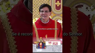 #PadreReginaldoManzotti #VIIFestadeJesusdasSantasChagas