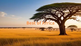 Discover the Remarkable: Top 7 Must-Visit Destinations in Africa