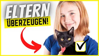 Deine Eltern zu einer Katze überreden? So klappt es!