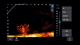 Garmin Livescope Focus: What Is It? How To Adjust It!!! How It Affects The Picture!!!