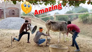 TRY TO NOT LAUGH CHALLENGE😂Must Watch New Funny Video 2021| Comedy Video Episode 21 By Bindas Fun Sk