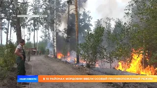 В 10 районах Мордовии ввели особый противопожарный режим