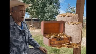 Don Genaro y las 23 cubetas con monedas de  oro