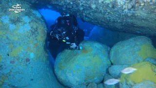 Exploring Fish Cave Scuba Diving Bluefish Wall Best Sydney Boat Dive Site