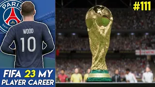 The End... (World cup final - series finale) | FIFA 23 My Player Career Mode #111