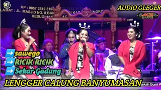 SAWEGO RICIK - RICIK SEKAR GADUNG BANYUMASAN  LENGGER CALUNG KEMBANGE JAGAD CILACAP🔴WANAREJA BUMIAYU